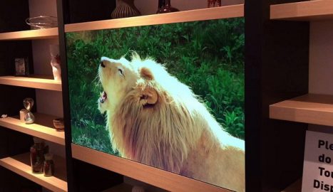 Panasonic Welcomes Us to Future with a OLED Transparent HDTV